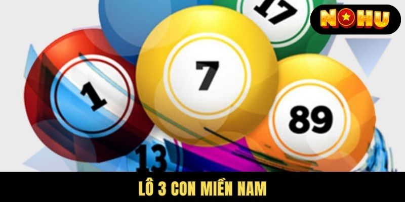 lô 3 con miền Nam