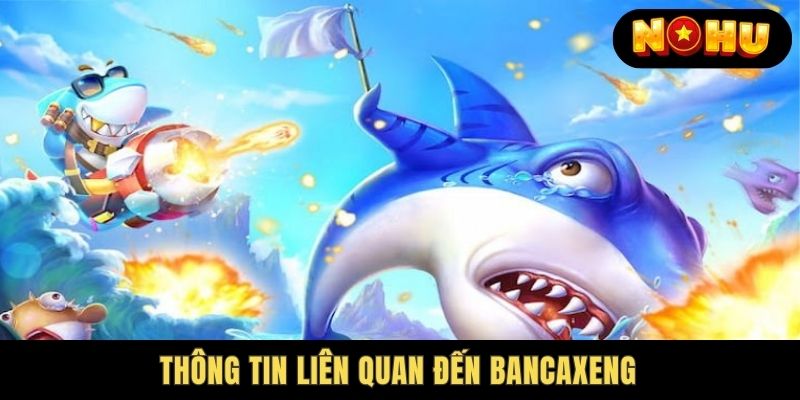 Tổng quan thông tin sơ lược về bancaxeng