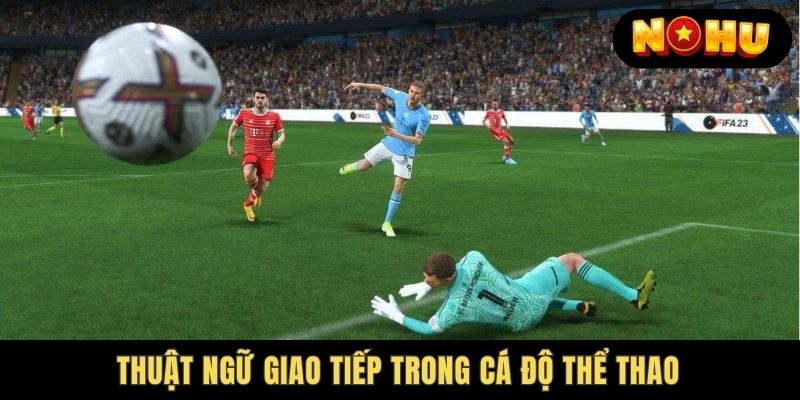 Thuật ngữ cá độ về tỷ lệ cược chấp game thể thao